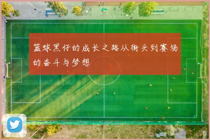 篮球黑仔的成长之路从街头到赛场的奋斗与梦想