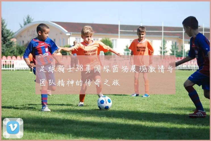 足球骑士38勇闯绿茵场展现激情与团队精神的传奇之旅