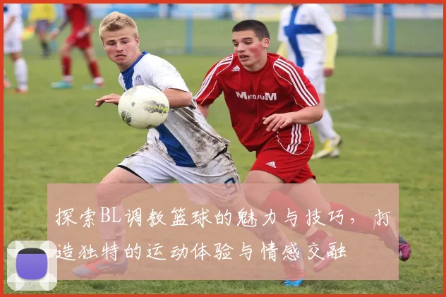 探索BL调教篮球的魅力与技巧，打造独特的运动体验与情感交融