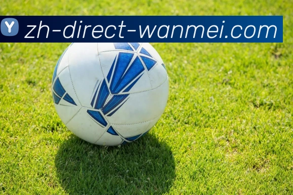 wmsports平台生态图